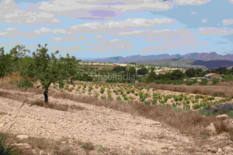 Foto bfbc6733-3a1b-4a50-9800-3ba9695de50a. Chalet in carretera pinoso 21 in Fortuna