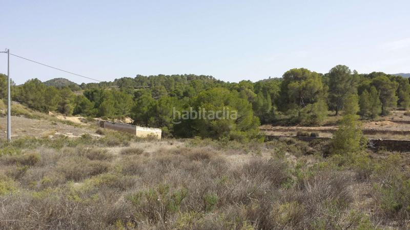 Foto d0302d29-4d11-44bd-85e7-5eb5dfb1b1ba. Chalet in carretera pinoso 21 in Fortuna