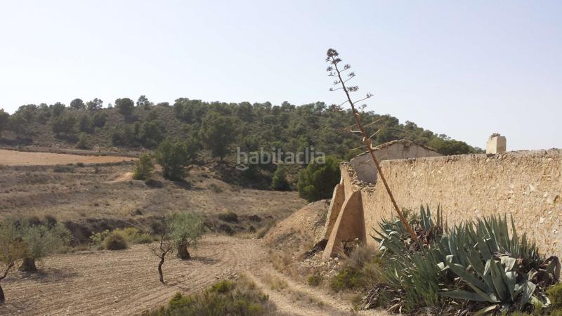 Foto de47c188-a7f1-4e5a-90be-8bc5f9c5d431. Chalet in carretera pinoso 21 in Fortuna