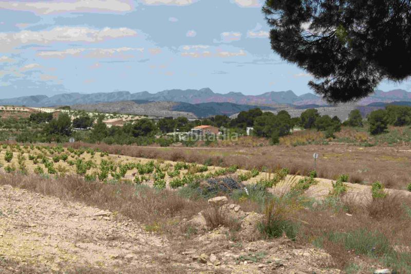 Foto df7016fe-d13d-4d8b-919c-7d7a1aea9038. Chalet in carretera pinoso 21 in Fortuna