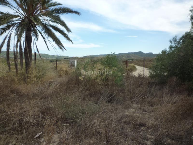 Foto bf4d6835-6ed1-4f59-9f1b-5f9e0d98afa5. Landgut in cv-925 24 in Desamparados - Hurchillo - Torremendo Orihuela