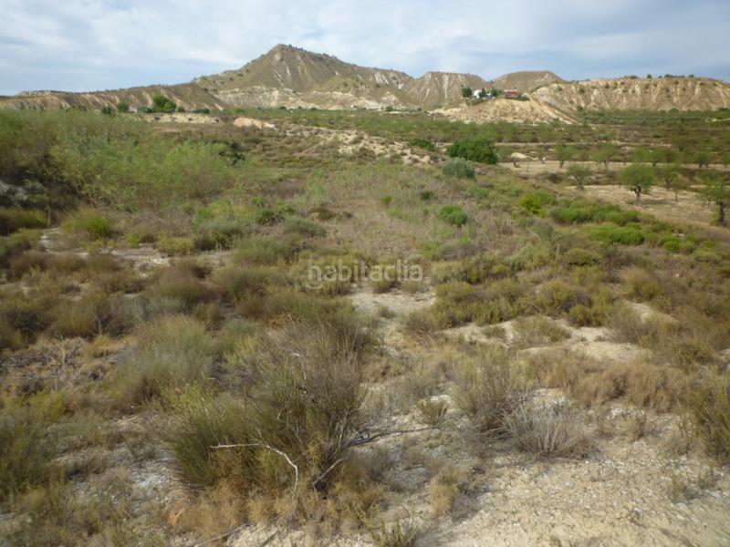 Foto 1c296e57-48eb-485d-b8c0-d7f642bdf07a. Finca rústica a cv-925 24 a Desamparados - Hurchillo - Torremendo Orihuela