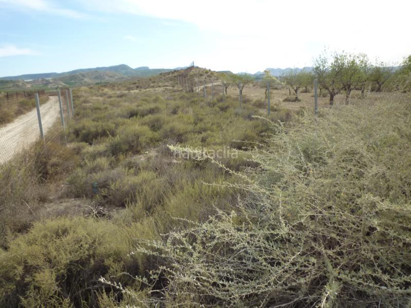 Foto b7119077-5fa2-49e8-bd54-d8c75a244277. Finca rústica a cv-925 24 a Desamparados - Hurchillo - Torremendo Orihuela