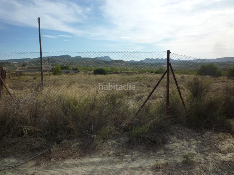 Foto bb12891f-8e00-4e32-aad5-b5bfbec20bdd. Finca rústica a cv-925 24 a Desamparados - Hurchillo - Torremendo Orihuela