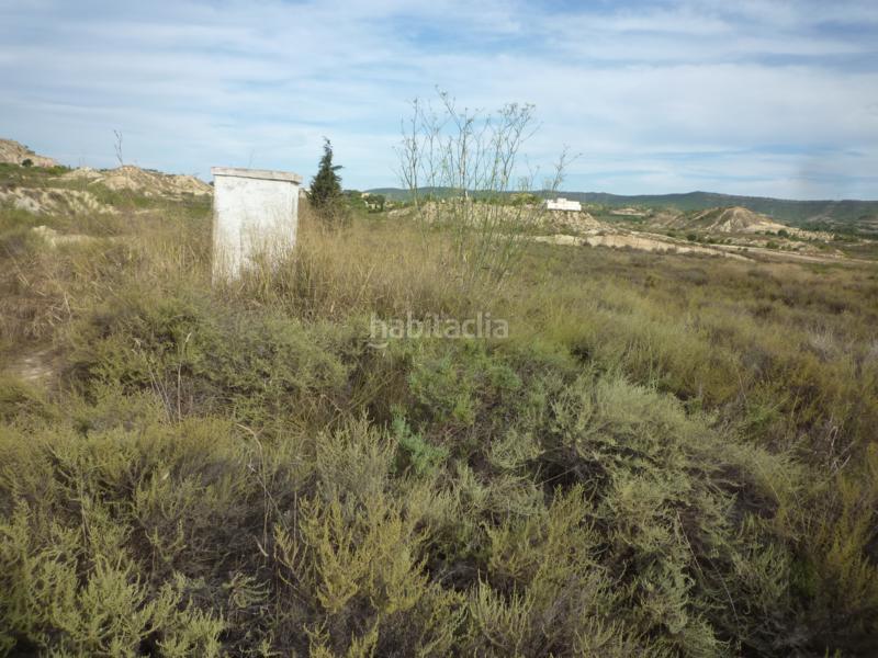 Foto e8cc530e-90e0-4db1-ad2f-576357dac1b3. Finca rústica a cv-925 24 a Desamparados - Hurchillo - Torremendo Orihuela