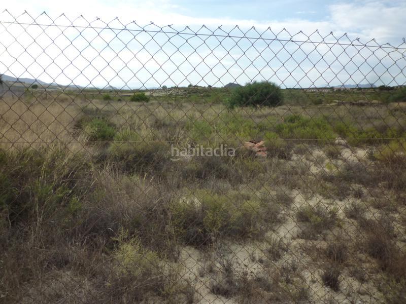 Foto 28f0b188-7933-4da2-b1ec-160bec6031b3. Finca rústica en cv-925 24 en Desamparados - Hurchillo - Torremendo Orihuela