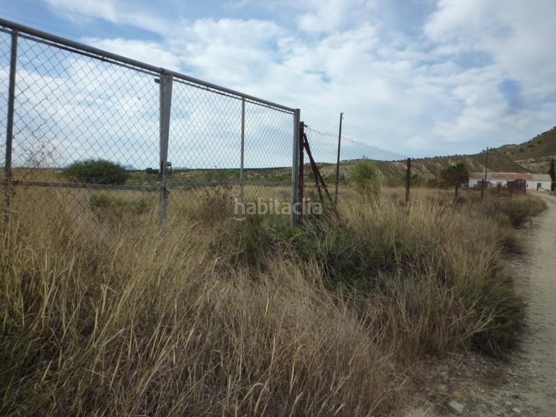 Foto 77984d36-7438-4636-840c-c4e104dc7fea. Finca rústica en cv-925 24 en Desamparados - Hurchillo - Torremendo Orihuela