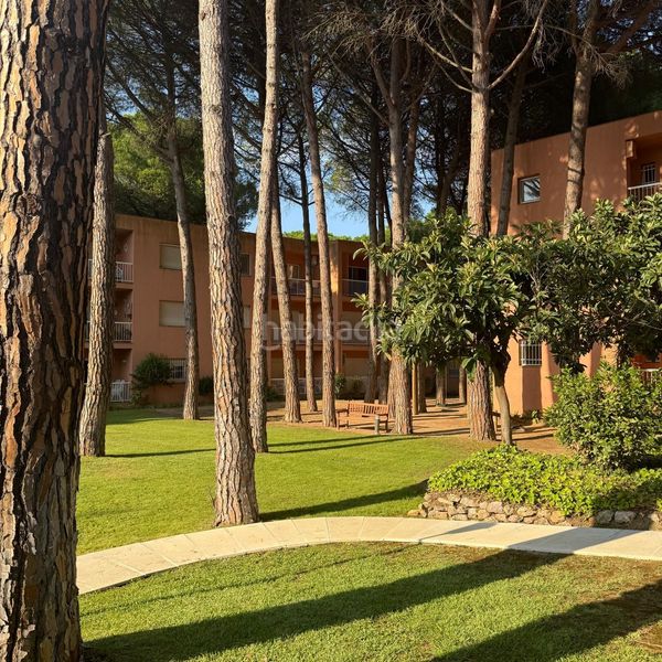 Foto a2eaa820-f710-4b48-bfc0-5ff33e5b366f. Apartament amb piscina a platja de Pals Pals