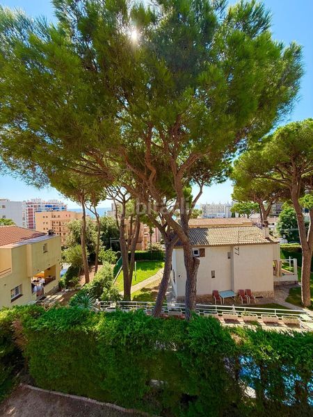 Foto e9071892-6bbb-4374-a8ad-e24e3ad36f02. Casa a Torre Valentina-Mas Vilar de La Mutxada-Treumal Sant Antoni de Calonge