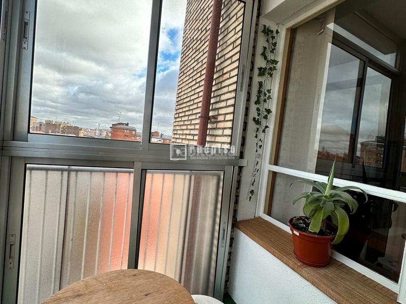 Foto 46a28293-06c2-4d4e-bf86-c19eb1332b75. Rent flat in puente colgante 11 in Plaza de Toros Valladolid