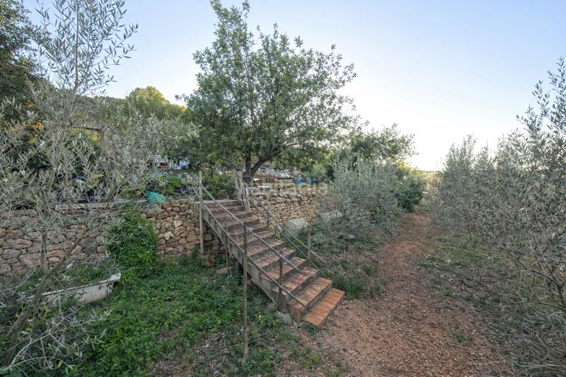 Foto 4a23f501-f355-4be9-87a3-b4d34e73b9d3. Casa amb piscina a Algímia de Alfara