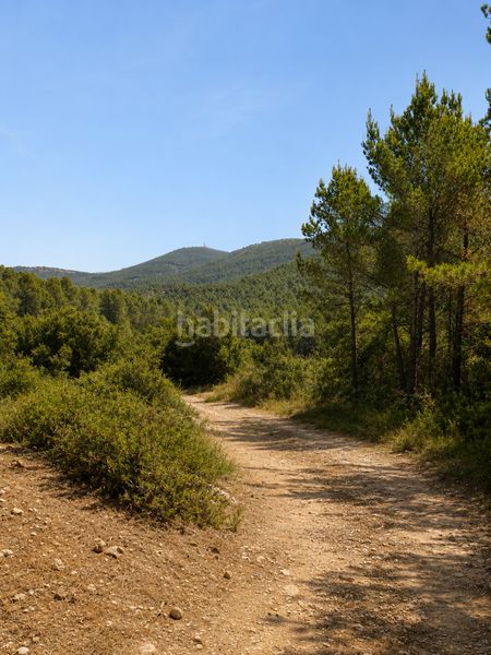 Foto f8326c42-b6dd-4d1e-8028-b71daef10ca1. Finca rústica a Jérica