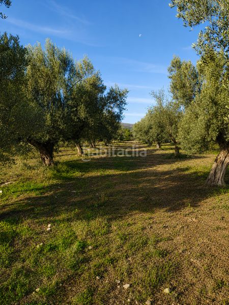 Foto fbe76b88-8ce1-4fc0-8282-cf76e1f14b59. Finca rústica a Jérica