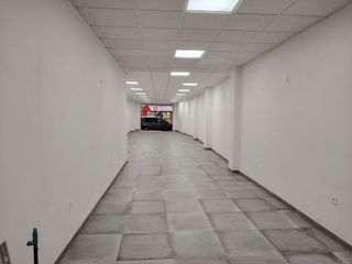 Lloguer Local Comercial a Centro - Barriada Mallorca. Impresionante local en camas, sevilla