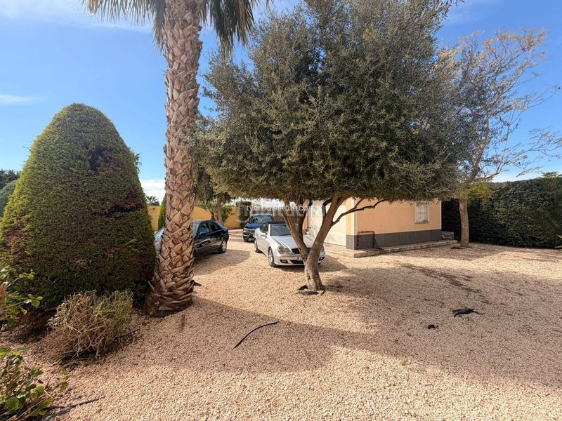 Foto 56f0811a-4945-47c8-9938-218b77365207. Casa amb calefacció aparcament piscina a Catral