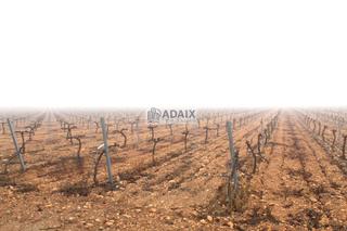 Terrain résidentiel à Tomelloso. Terreno de cultivo en venta en  tomelloso, ciudad real