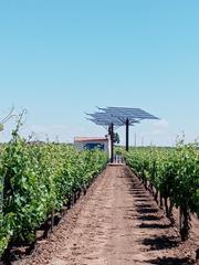 Terreno residenziale in Socuéllamos. Terreno de cultivo en venta en  tomelloso, ciudad real