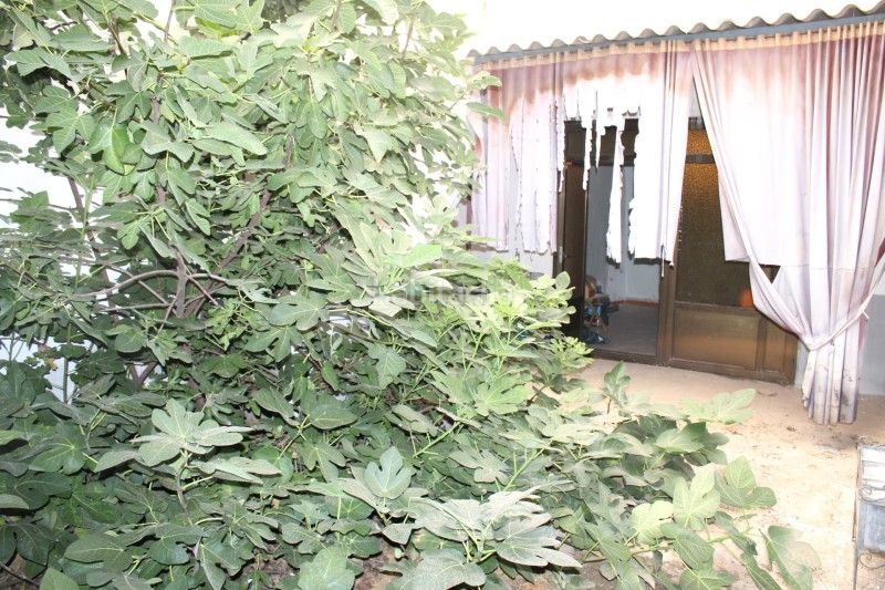 Foto c4b92c07-09e9-4b1d-92d6-04d8658f5997. Casa amb aparcament a Tomelloso