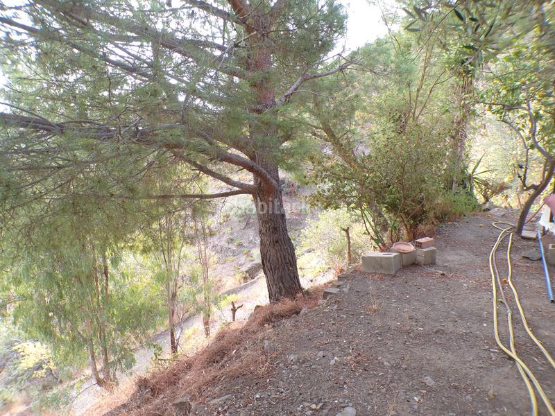 Foto ea1d7e95-cd61-44e6-a1e1-4075b0cb6826. Masía en avenida de torrox 10 casa rustica con terreno en la zona en Cómpeta