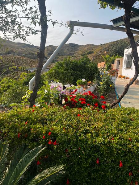 Foto 8ee0072e-c497-4920-aa26-f49613aa10b6. Chalet in cortijo Benajarafe alto 10 in Benajarafe