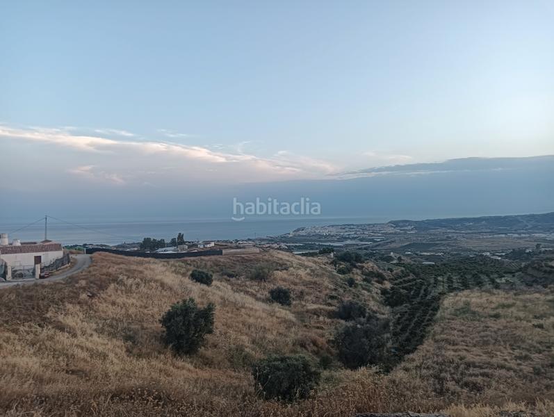 Foto 75c98a3e-c417-443c-8ea7-093f527dcafc. Xalet a calle fuente ariza 1 a Algarrobo pueblo Algarrobo