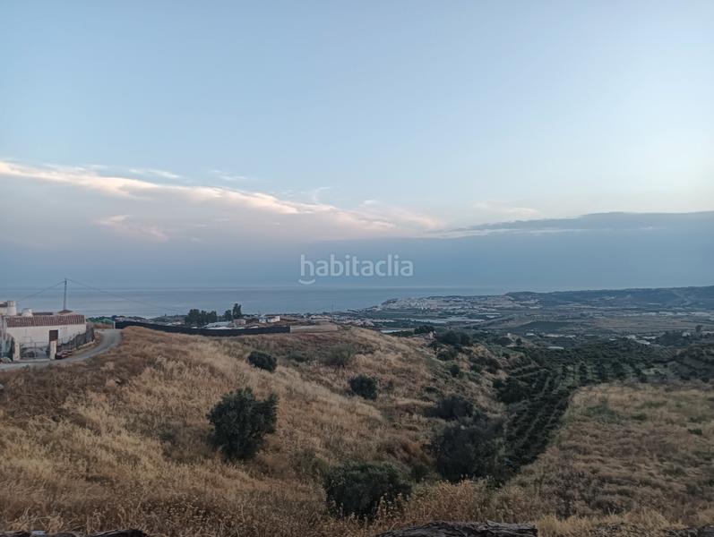 Foto d5d50b04-0998-463c-8c26-b6676b561193. Xalet a calle fuente ariza 1 a Algarrobo pueblo Algarrobo