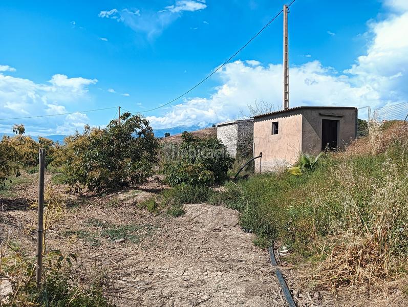 Foto 65dd852b-1d7c-4157-b07f-d67fafafaa47. Rural plot in calle la vega 4 in Poniente-Faro Torre del Mar