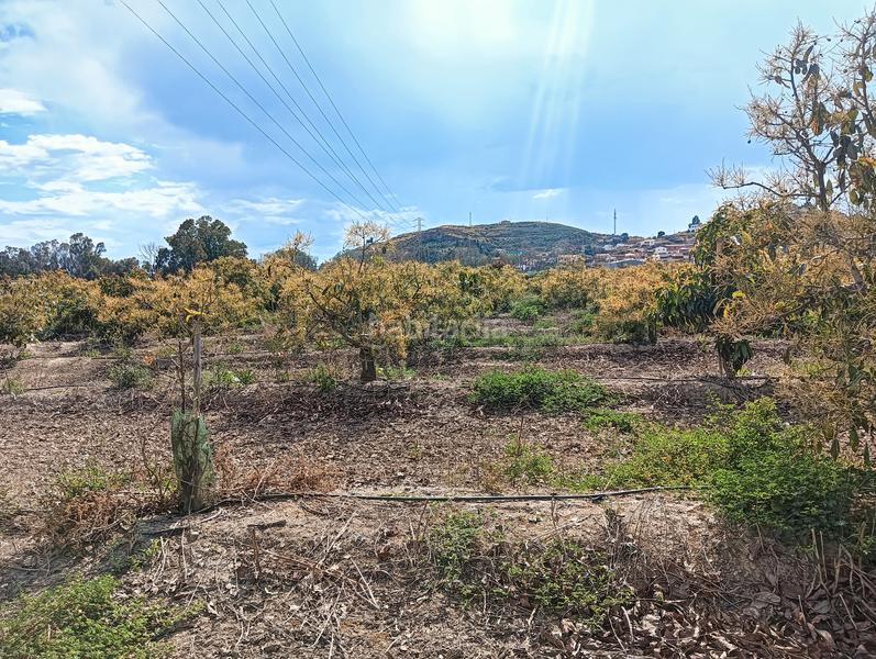 Foto f0a37d2c-fd47-4ae5-ac23-58d1b4bcfa58. Finca rústica a calle la vega 4 a Poniente-Faro Torre del Mar