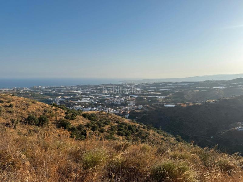 Foto 3ba78ef5-f6da-47f6-a56f-4f1fbf54f7c3. Finca rústica a pago romeral 332 a Algarrobo pueblo Algarrobo