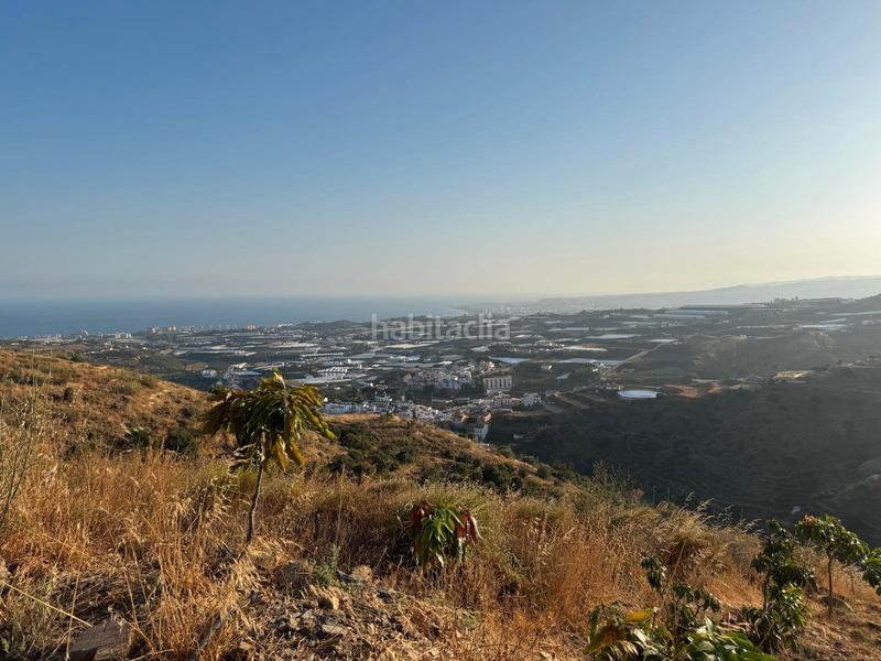 Foto 646299bd-88a7-409a-9bec-71b633216b39. Finca rústica a pago romeral 332 a Algarrobo pueblo Algarrobo