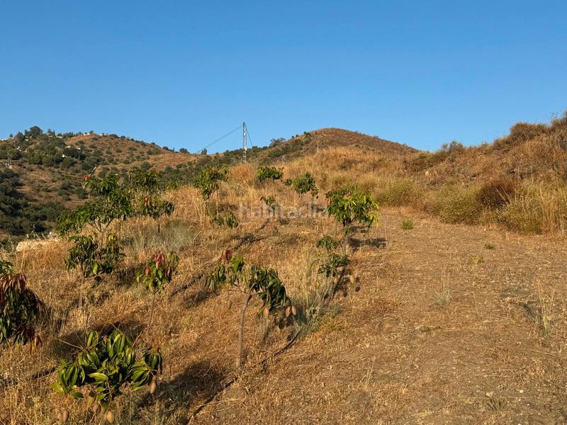 Foto b10f1154-4866-499b-ab3e-504fe7054b0b. Finca rústica a pago romeral 332 a Algarrobo pueblo Algarrobo