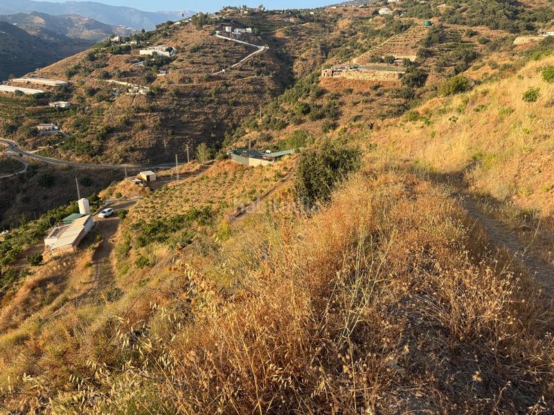 Foto d7578cca-ad6b-49a8-ae20-e6532da524e4. Finca rústica a pago romeral 332 a Algarrobo pueblo Algarrobo