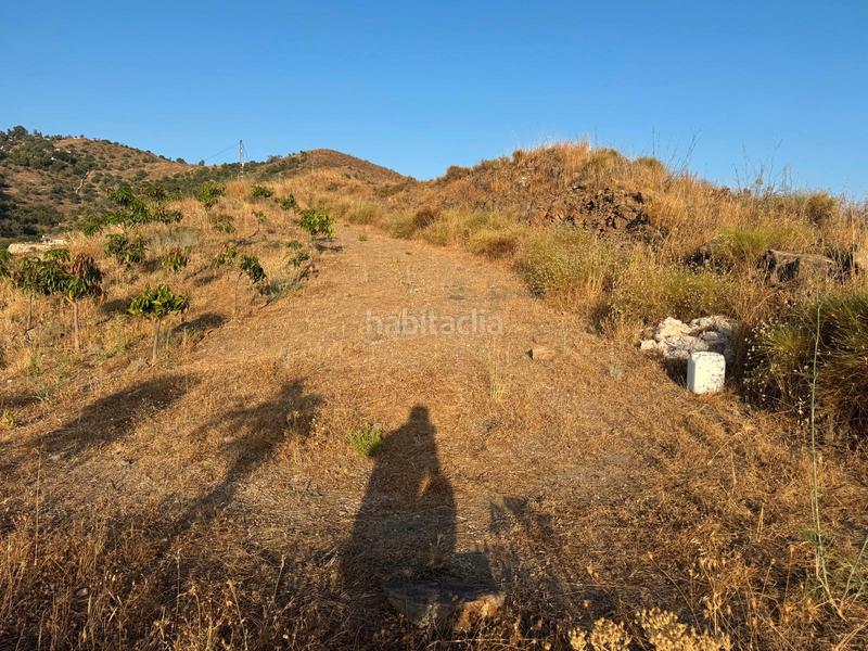Foto c5fc55eb-ccfe-4a92-b9b6-ab286c15e016. Finca rústica en pago romeral 332 en Algarrobo pueblo Algarrobo