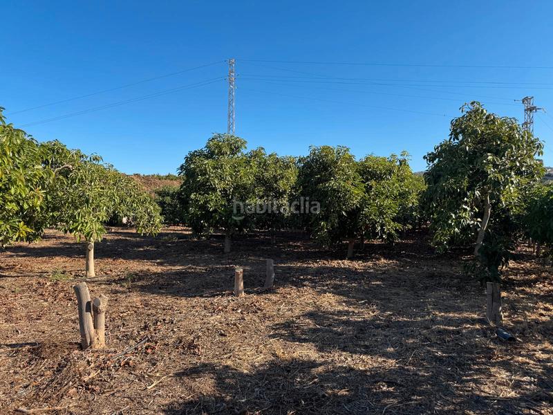 Foto 1d0b4dad-a95d-4ba4-ad5d-8eb389058d0c. Chalet en extrarradio mayora 127 preciosa casa de campo en la zona en Algarrobo