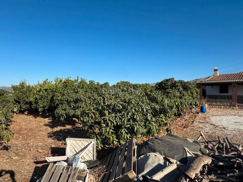 Foto 6c00c0bb-d0e2-40e6-bb17-23e390c23d6b. Chalet en extrarradio mayora 127 preciosa casa de campo en la zona en Algarrobo
