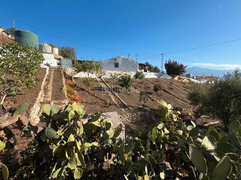 Foto 8c47b86b-8c27-4511-a08d-6bd1fbcf652a. Masía en Almáchar