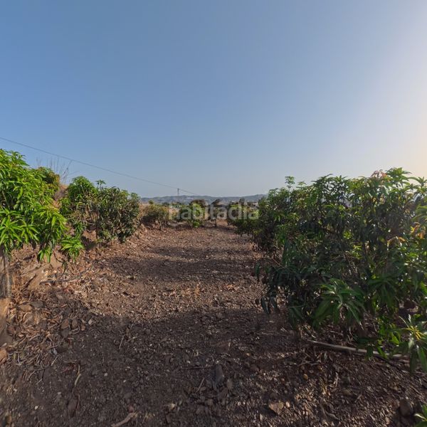 Foto a9aa895b-730a-438a-a711-c4a4958bacc7. Finca rústica a n/a a Norte - Barrio del Pilar - El Reñidero Vélez - Málaga