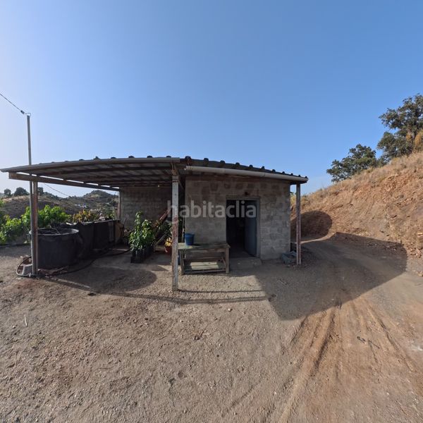 Foto bc30f9ca-4669-4d1e-8c15-8fc1b9aa5524. Finca rústica a n/a a Norte - Barrio del Pilar - El Reñidero Vélez - Málaga