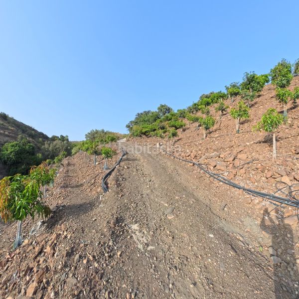 Foto ca6771b2-33b2-4d34-aac2-a701b595afec. Finca rústica a n/a a Norte - Barrio del Pilar - El Reñidero Vélez - Málaga