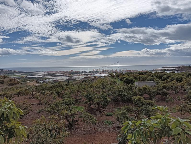 Foto 6fb063fa-7263-4696-9c66-2d0fe7fbc820. Finca rústica a Algarrobo pueblo Algarrobo