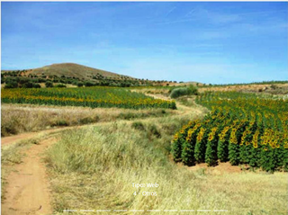 Rural plot in Cañizar. Suelos urbanizables de uso agricola en cañizar