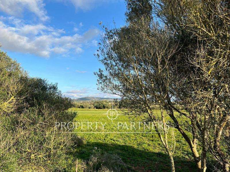 Foto 418087ab-428f-4eac-a46a-57c066c911a7. Chalet with heating parking in Felanitx poble Felanitx