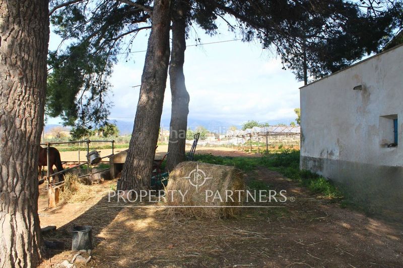 Foto 3a0b906a-c1c2-424d-8f72-2ac9786dc16d. Xalet amb aparcament a Es Garrovers Marratxí