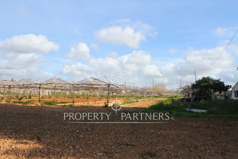 Foto 3b3d3cb1-b088-4dfa-9b0c-10ab2fc4e37e. Xalet amb aparcament a Es Garrovers Marratxí