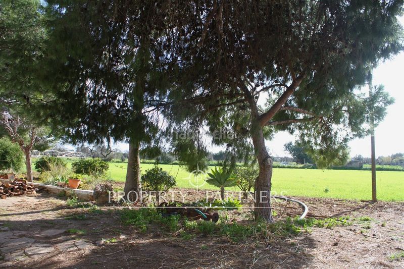 Foto 5c6cd448-5ba9-41a2-841e-dde97676c7d3. Xalet amb aparcament a Es Garrovers Marratxí