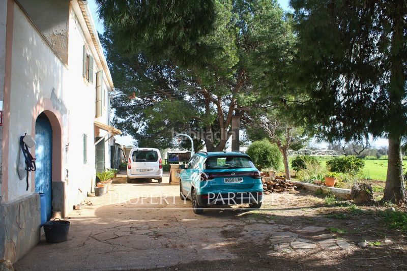 Foto 8a6770dd-58e0-408f-939d-99b12aa0ef42. Xalet amb aparcament a Es Garrovers Marratxí