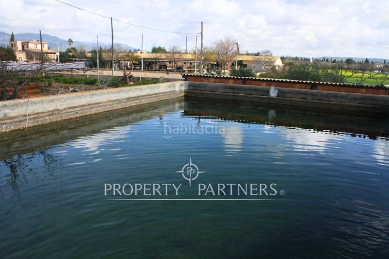 Foto d9c3b247-e47b-45e0-aa20-dcbf5f1250b0. Xalet amb aparcament a Es Garrovers Marratxí