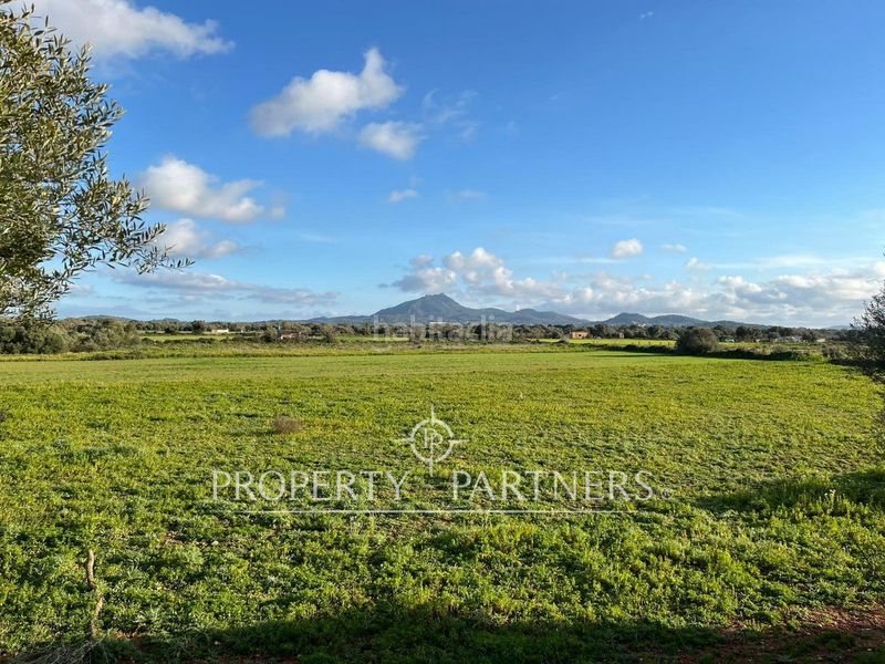 Foto be60c342-4339-4a8f-9357-70368cf513cd. Xalet amb calefacció aparcament a Felanitx poble Felanitx