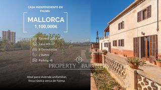 Xalet  Camí fred. Una joya en la auténtica palma