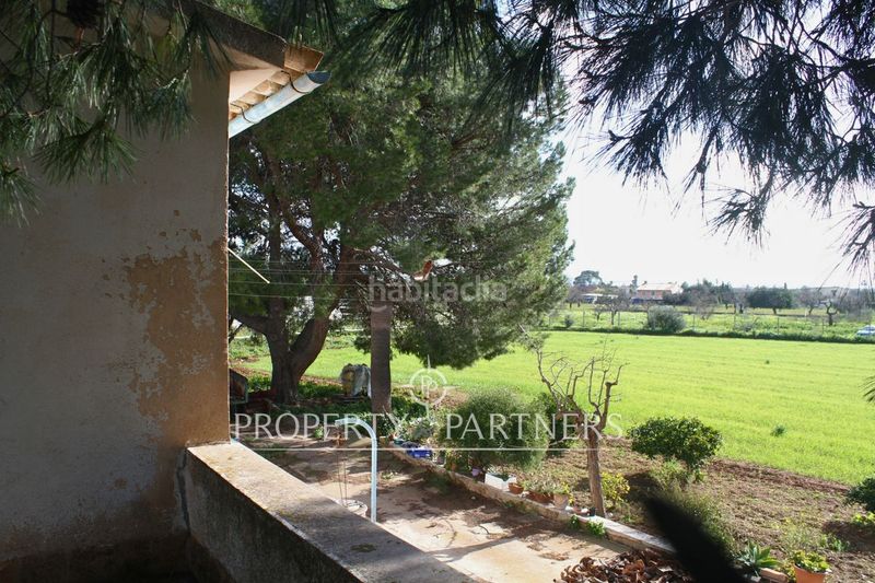 Foto 1401324e-ceb0-4f55-8a0a-0cb090e9ac58. Xalet amb aparcament a Es Garrovers Marratxí